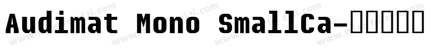 Audimat Mono SmallCa字体转换